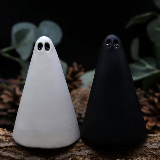 Black and White Duo